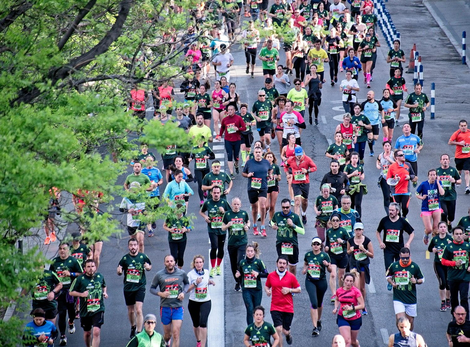 Wien Marathon 2024: Der erste halbe